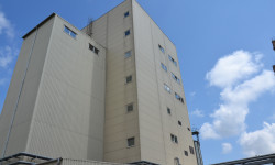 DSC 0131