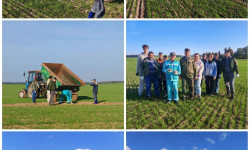 photo 2026 10 02 10 19 18 2