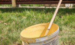 photo 2026 04 27 08 37 06