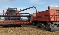 IMG aeb99ce884f31fa37b5447b37e237ac0 V