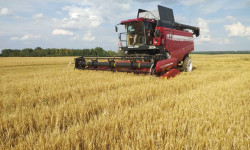 IMG b9a4f3756ae6eaa4828ec4673c230c31 V