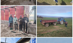 photo 2026 04 13 15 36 30